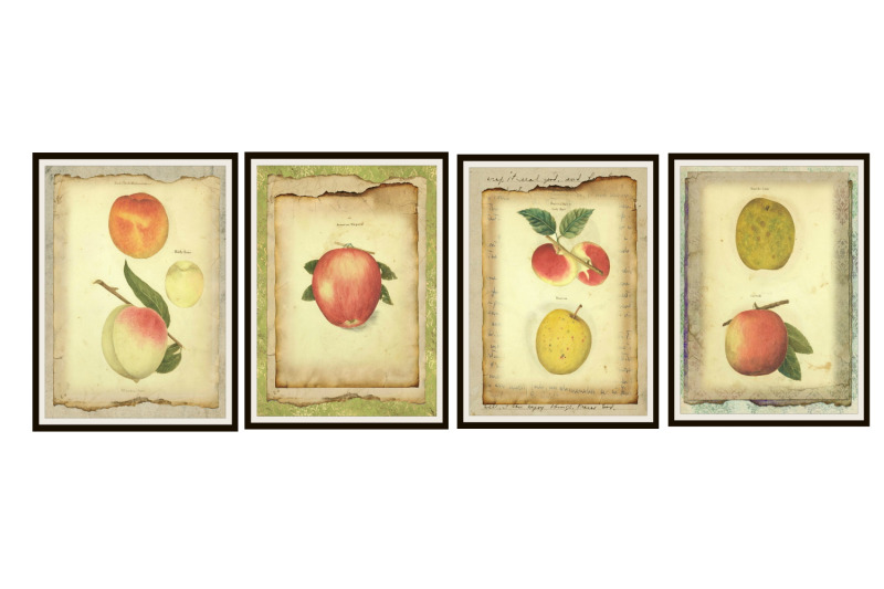 kitchen-apples-journal-scrapbook-kit