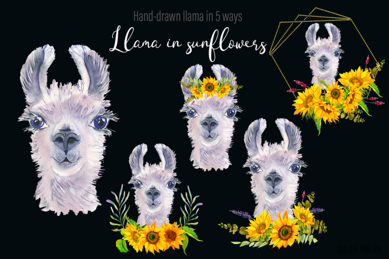 watercolor-llama-clipart-sublimation-designs