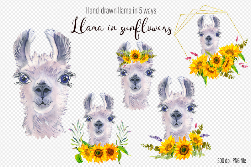 watercolor-llama-clipart-sublimation-designs