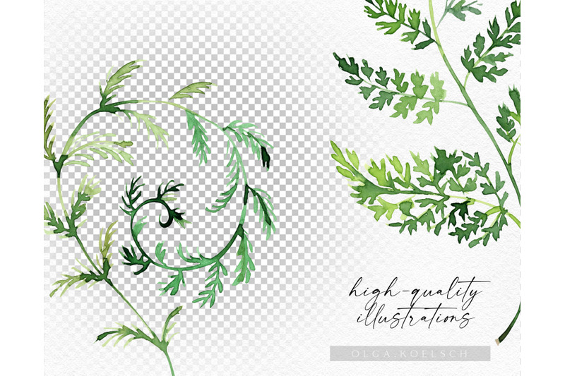 watercolor-fern-clipart-greenery-clipart-for-wedding-invitation