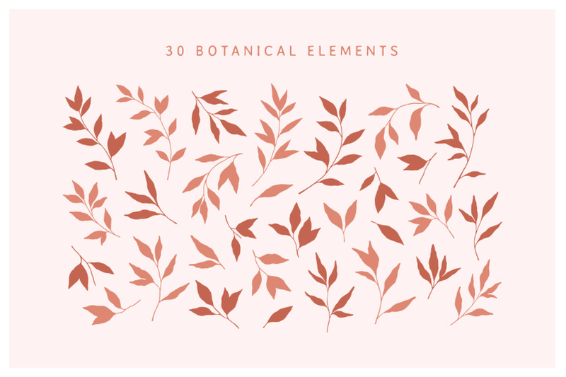 botanical-elements-amp-patterns