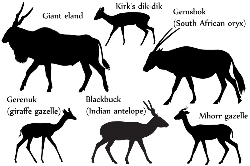 antelopes-silhouette