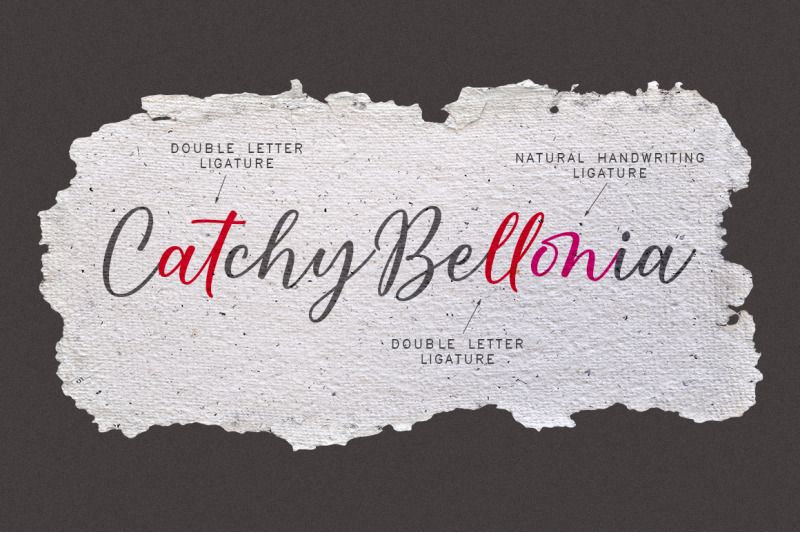 catchy-bellonia-script