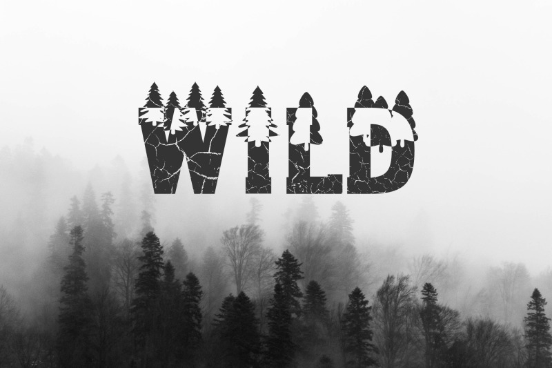 forest-outdoors-camping-font