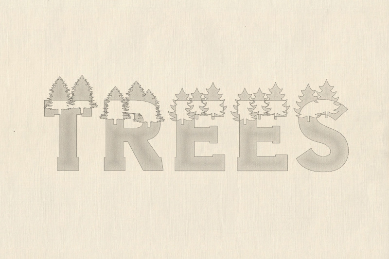 forest-outdoors-camping-font