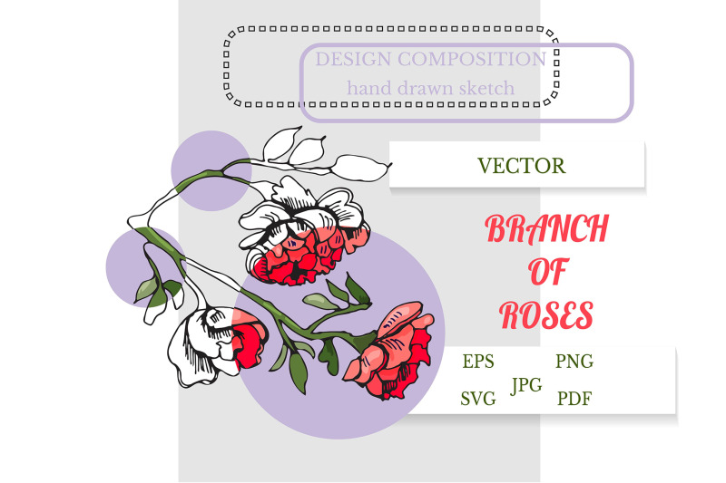 hand-drawn-sketch-of-branch-of-rose-flowerwith-leaves