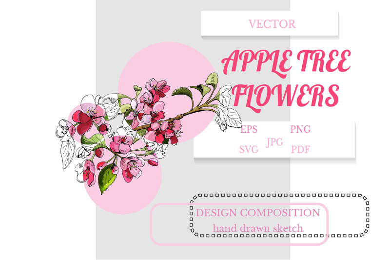 hand-drawn-sketch-of-branch-of-apple-tree-flowers