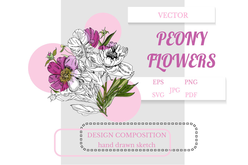 hand-drawn-bouquet-of-peony-flowers-pink-floral-clipart