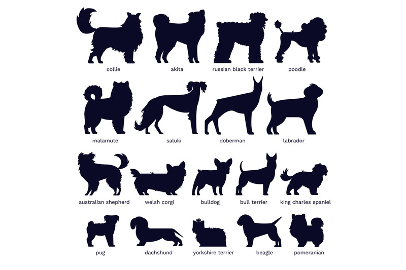 dog-silhouettes-various-breed-doberman-malamute-and-labrador-poodl