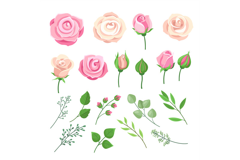 rose-elements-pink-and-white-roses-flowers-with-green-leaves-and-buds