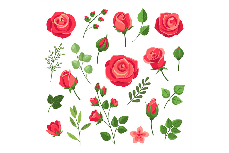 red-roses-burgundy-rose-flower-bouquets-with-green-leaves-and-buds-w