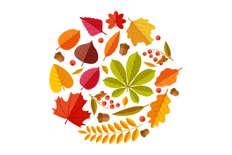 flat-autumn-leaves-colorful-fall-park-leaf-maple-elm-oak-chestnut-ge