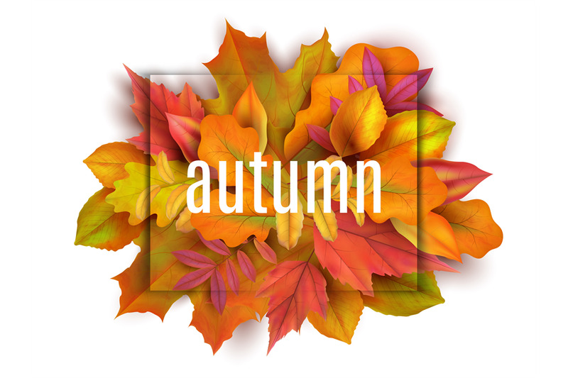 autumn-banner-leaves-background-card-with-realistic-orange-red-yello