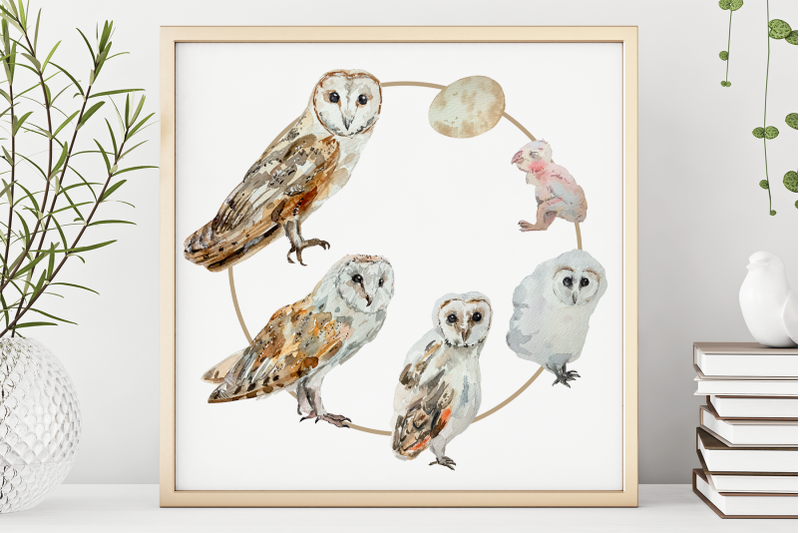 owl-life-cycle-clip-arts-and-print