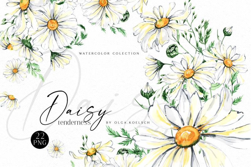 watercolor-daisy-clipart-chamomile-bouquets-hand-painted-daisies-png