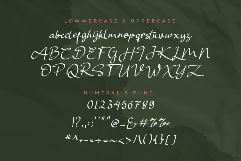 sellaras-elegant-script-font