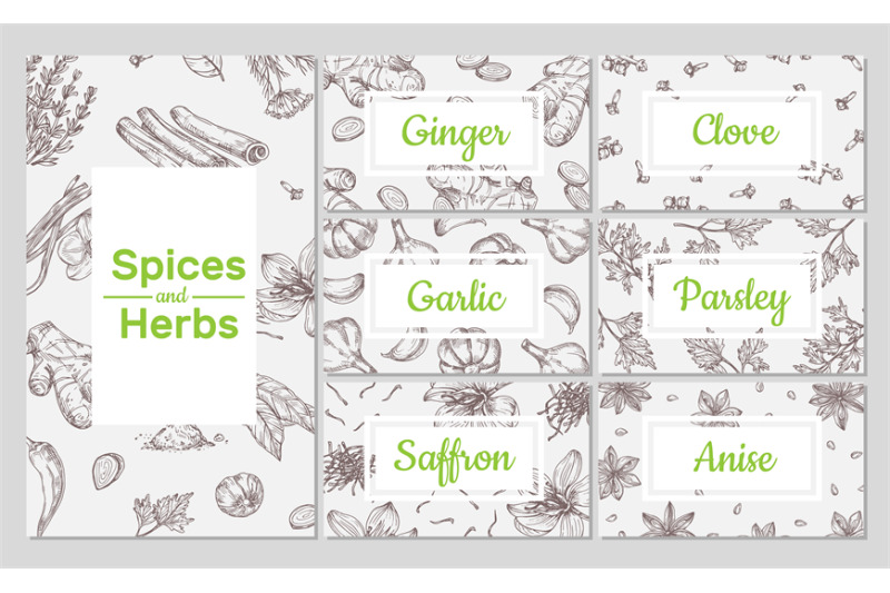 spices-sketch-hand-drawn-culinary-organic-herbs-ginger-and-garlic-c