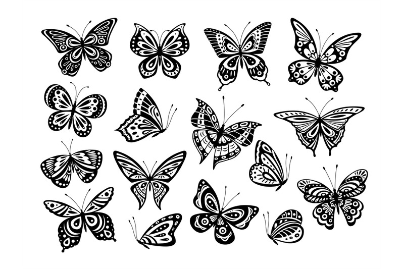 black-butterflies-drawing-butterfly-silhouette-nature-elements-gorg