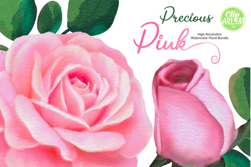 pink-roses-floral-22-png-watercolor-set-clip-art