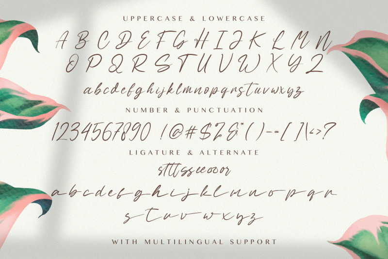 sabeny-betranss-handwritten-font