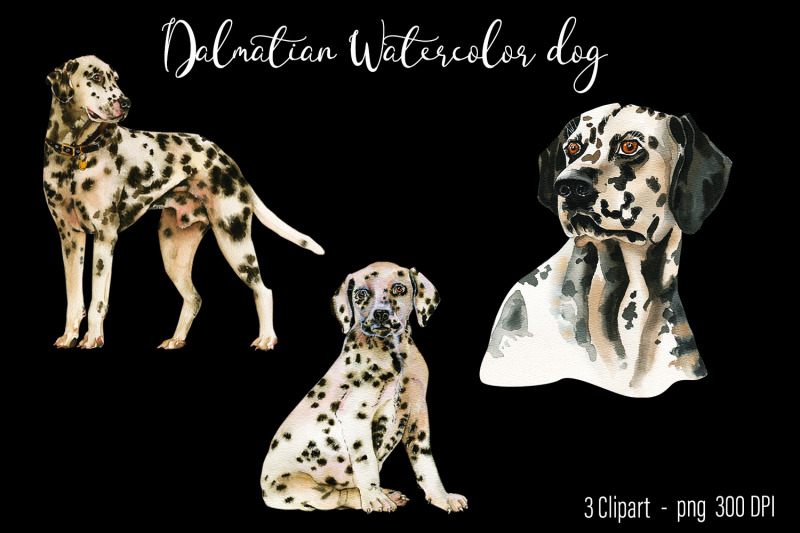 dalmatian-watercolor-dog-clipart