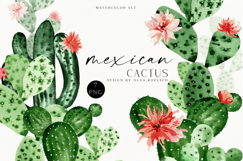 cactus-watercolor-clipart-cute-cactus-png-green-succulent-clipart-blooming-cactus-clip-art-printable