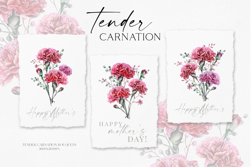 watercolor-carnation-clipart-dusty-pink-carnation-for-mother-039-s-day