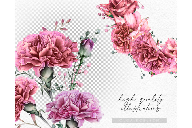 watercolor-carnation-clipart-dusty-pink-carnation-for-mother-039-s-day
