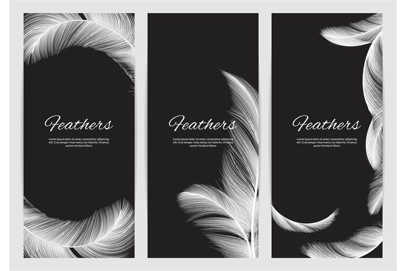 feathers-banners-template-realistic-white-swan-falling-feathers-vecto