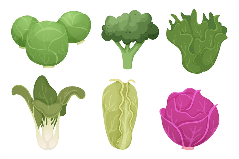 cabbage-cartoon-green-clean-vegetable-eco-food-fresh-garden-broccoli