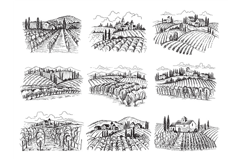 vineyard-landscape-farm-grape-fields-with-houses-agricultural-hand-dr