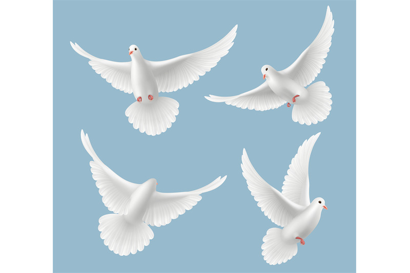 white-pigeons-dove-love-flying-birds-in-sky-symbols-of-freedom-and-we