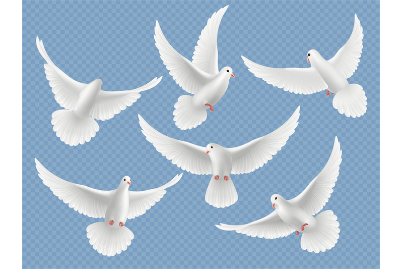 realistic-doves-white-freedom-flying-birds-pigeons-religion-symbols-v