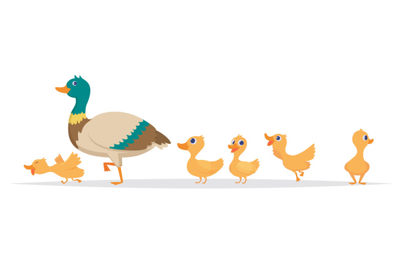 mother-duck-row-of-wild-ducks-birds-family-walking-vector-cartoon-col