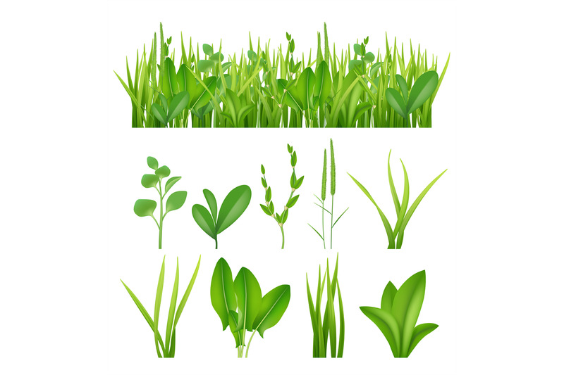 grass-realistic-ecology-set-green-herbs-leaves-plants-lifes-meadows-v