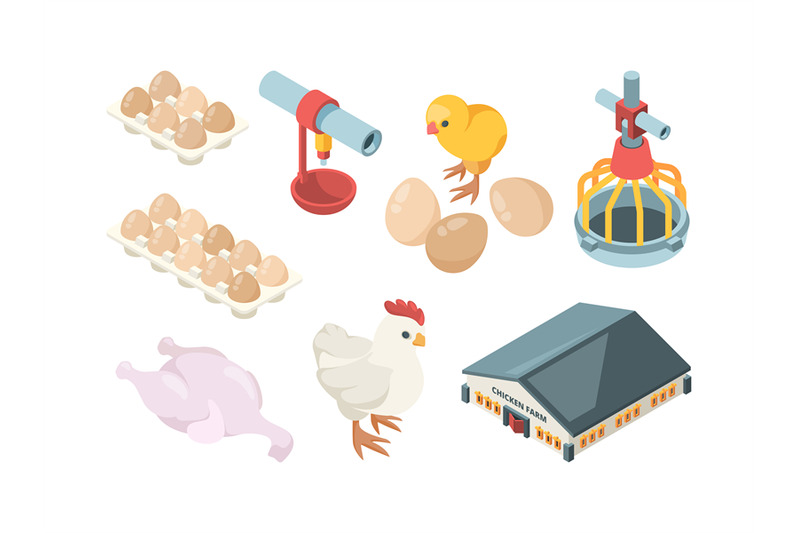 chicken-production-agriculture-industry-bio-organic-bird-feeding-poul