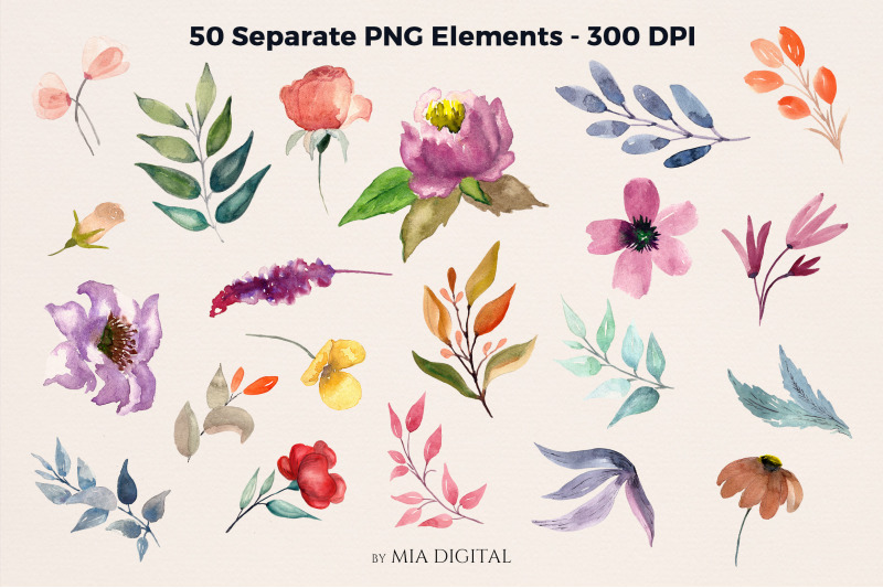 50-watercolor-floral-elements-spring-garden-different-flowers