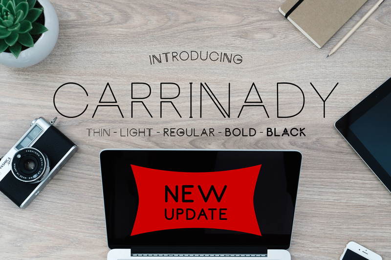 carrinady-logotype-new-update