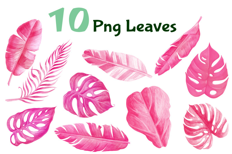 tropical-palm-leaf-pink-watercolor