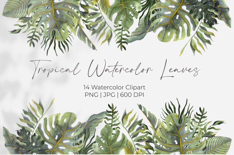 tropical-watercolor-leaves-png-clipart-watercolor-painting