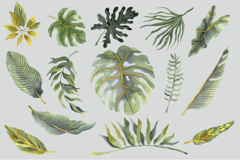 tropical-watercolor-leaves-png-clipart-watercolor-painting