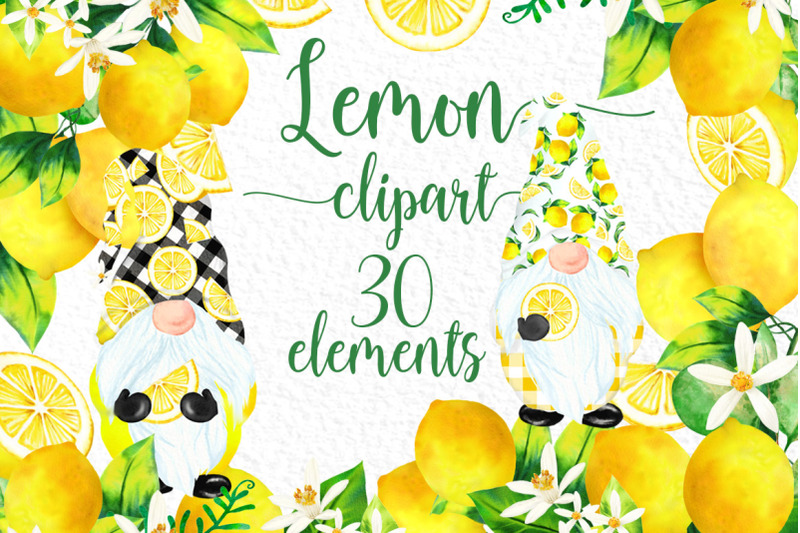 lemon-clipart-citrus-clipart-cute-gnomes-watercolour-lemons