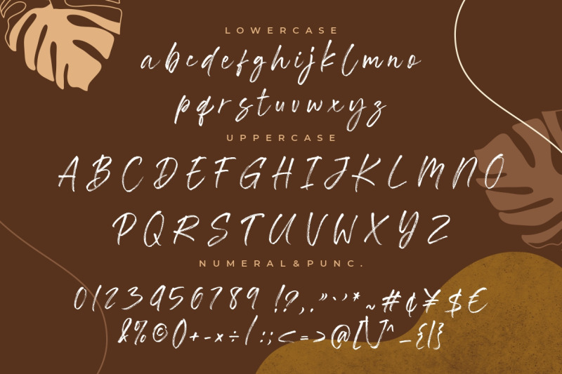 southwell-brush-script