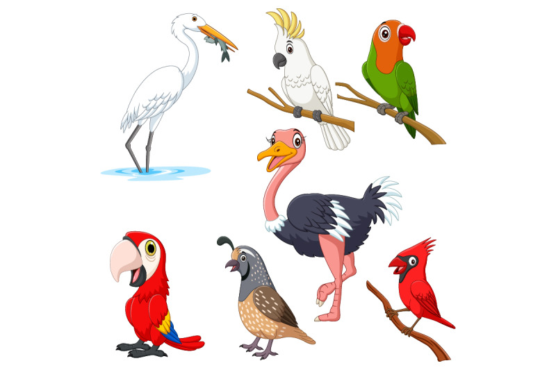 set-of-seven-cartoon-birds-character