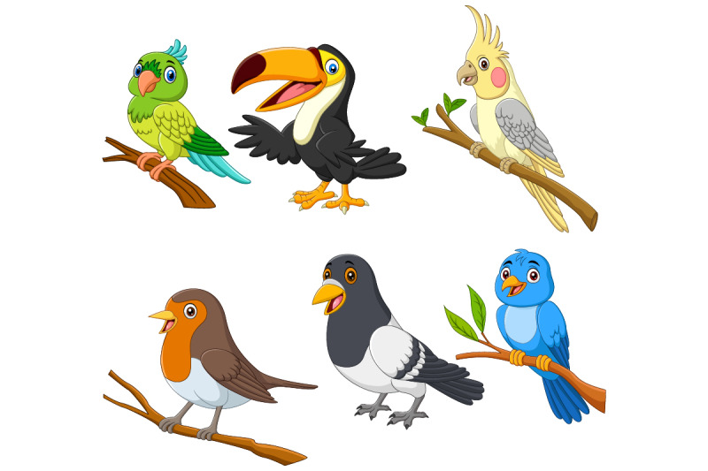 set-of-six-exotic-tropical-birds-cartoon