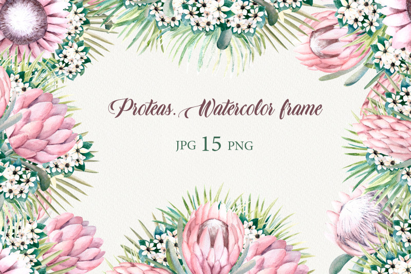 protea-flowers-watercolor-frames