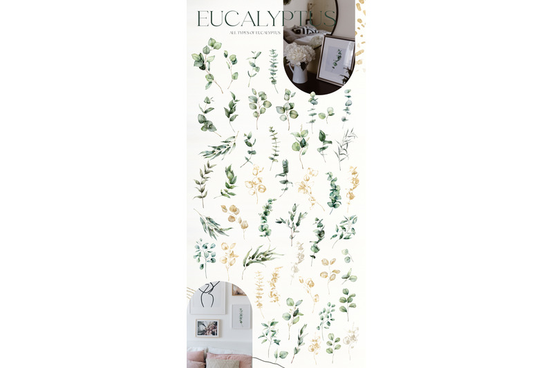 eucalyptus-watercolor-abstract-floral-clipart