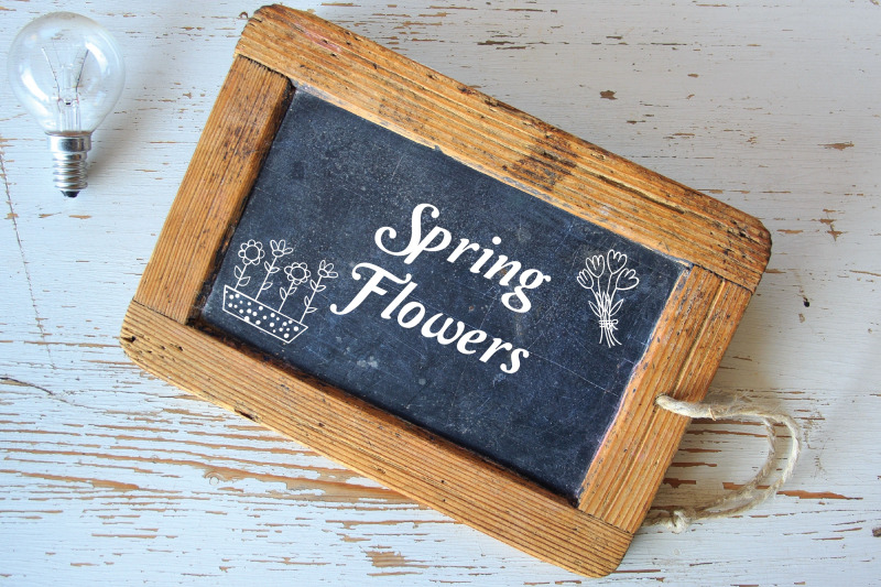 spring-season-white-doodles-gardening-bugs-bicycle-birds-flowers