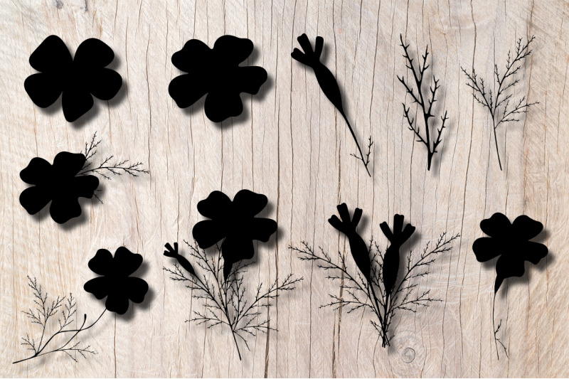 10-marigold-flower-silhouettes-png