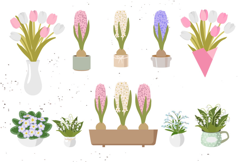 spring-indoor-plants-part-3